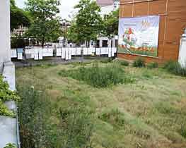 Site of 24620-Detroit-House